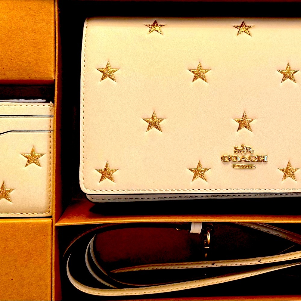 COACH NWT LEATHER Anna Fold over Leather Crossbody Boxed Set includes Card Case